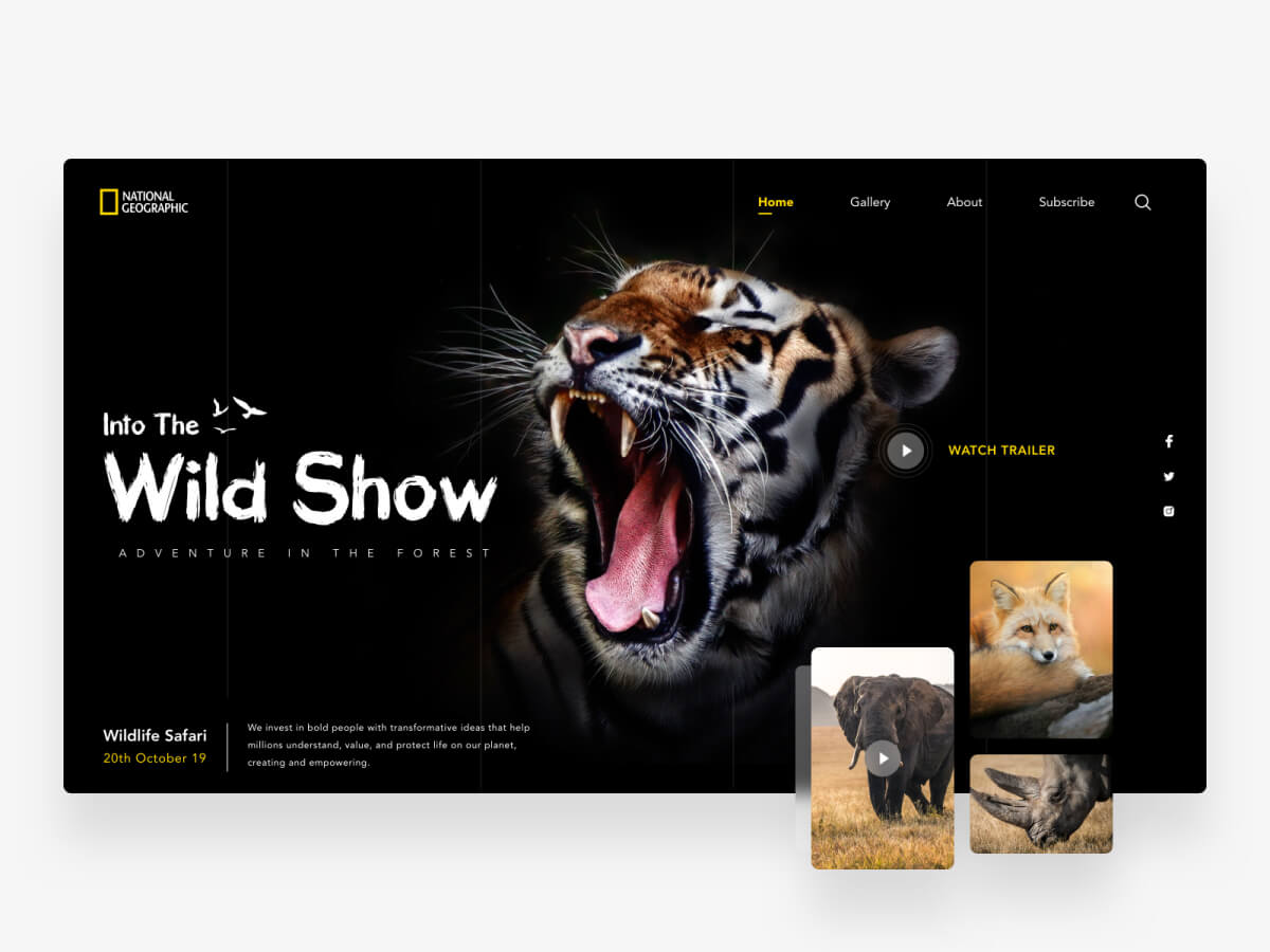 NatGeo Website Concept for Sketch